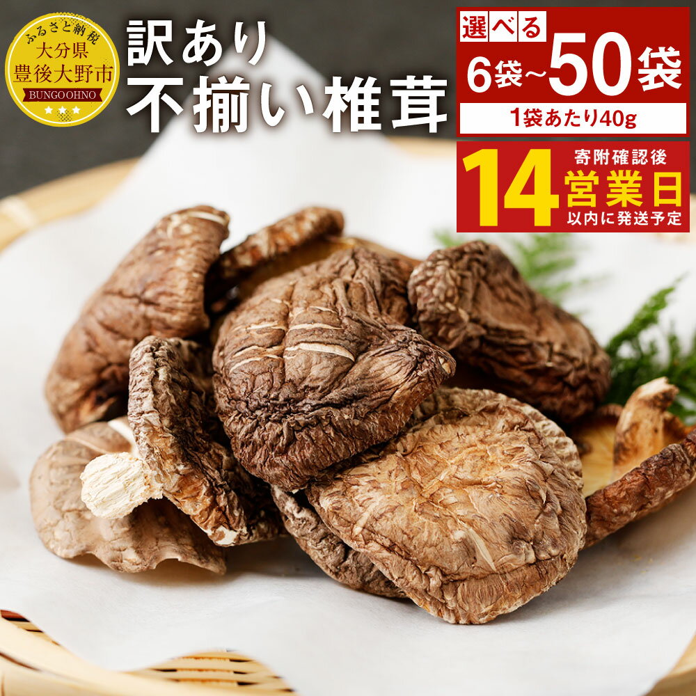 【ふるさと納税】【14営業日以内発送】 訳あり 原木椎茸 不揃い椎茸 ＜選べる内容量＞ 6袋 / 10袋 / 50袋 セット 1袋あたり40g 椎茸 乾燥シイタケ 乾椎茸 しいたけ おすそ分け 小分け 大分県産 国産 九州 大分県 豊後大野市 送料無料