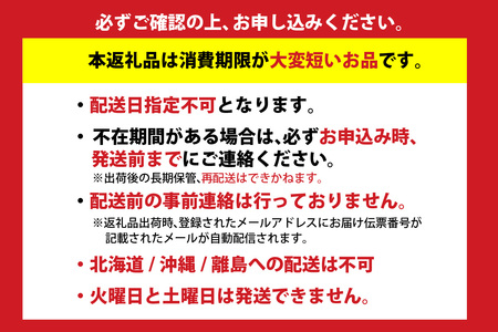 ほたるいか ボイル 小分け 250g×4パック 酢味噌付 ホタルイカ いか イカ 10-14