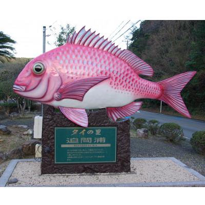ふるさと納税 南伊勢町 真鯛のあおさまぶし 伊勢志摩産 熟成鯛 100g 4袋 刺身カット済 産地直送 お手軽に海鮮丼が可能 |  | 01