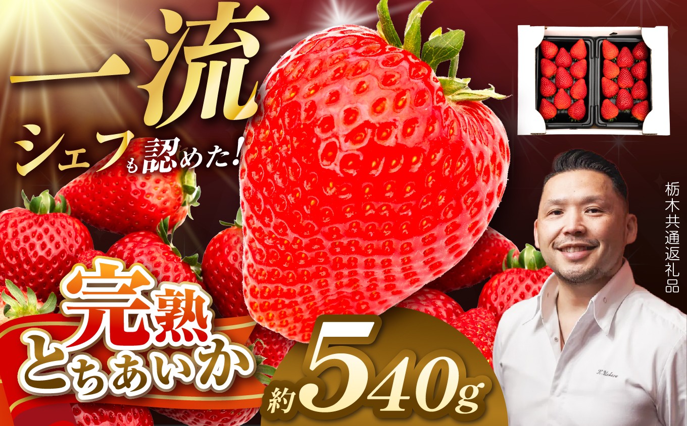 
                  【栃木県共通返礼品】完熟とちあいか Grande（グランデ）270g×2P | とちあいか 完熟 果物 くだもの 果汁 果肉 高級 赤い いちご イチゴ iktigo 苺 品種 栃木県 那珂川町 送料無料 
                