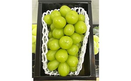 厳選シャインマスカット 秀品 700g以上 1房 化粧箱入[前半] 【令和6年産先行予約】FU20-107