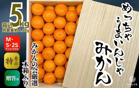 みかん めっちゃうまいんじゃ 木箱入 約5kg（内容量4.3kg） みかんの会厳選 特選品 M S 2S サイズのいずれか 和歌山県産 産地直送 S品 贈答用 【みかんの会】