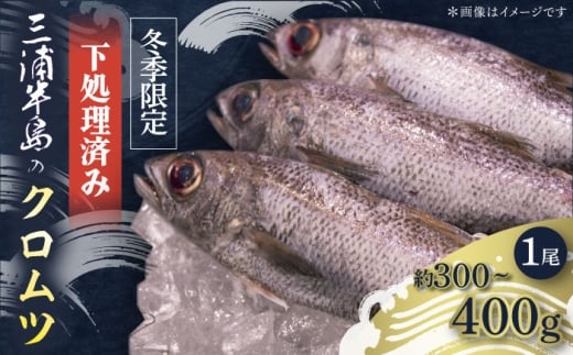 【冬季限定】下ごしらえ済 クロムツ 約300〜400g　1尾 鮮魚 処理済み 下処理済み【長井水産株式会社】 [AKAJ030]