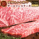 【ふるさと納税】愛媛あかね和牛 サーロインステーキ 計約750g 約250g×3枚 あかね和牛 ブランド牛 黒毛和牛 和牛 牛肉 肉 お肉 国産牛 国産牛肉 サーロイン ステーキ肉 赤身 上質 冷蔵 お取り寄せ 国産 愛媛県 送料無料 【えひめの町（超）推し！（松前町）】（275-1）