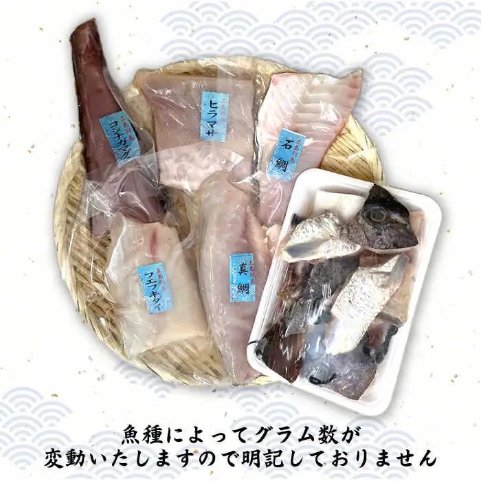 五島列島鮮魚ボックス5種[RBR002] 鮮魚 鮮魚セット 魚 鮮魚 鮮魚セット 魚 鮮魚 鮮魚セット 魚 鮮魚 鮮魚セット 魚 鮮魚 鮮魚セット 魚九州 長崎