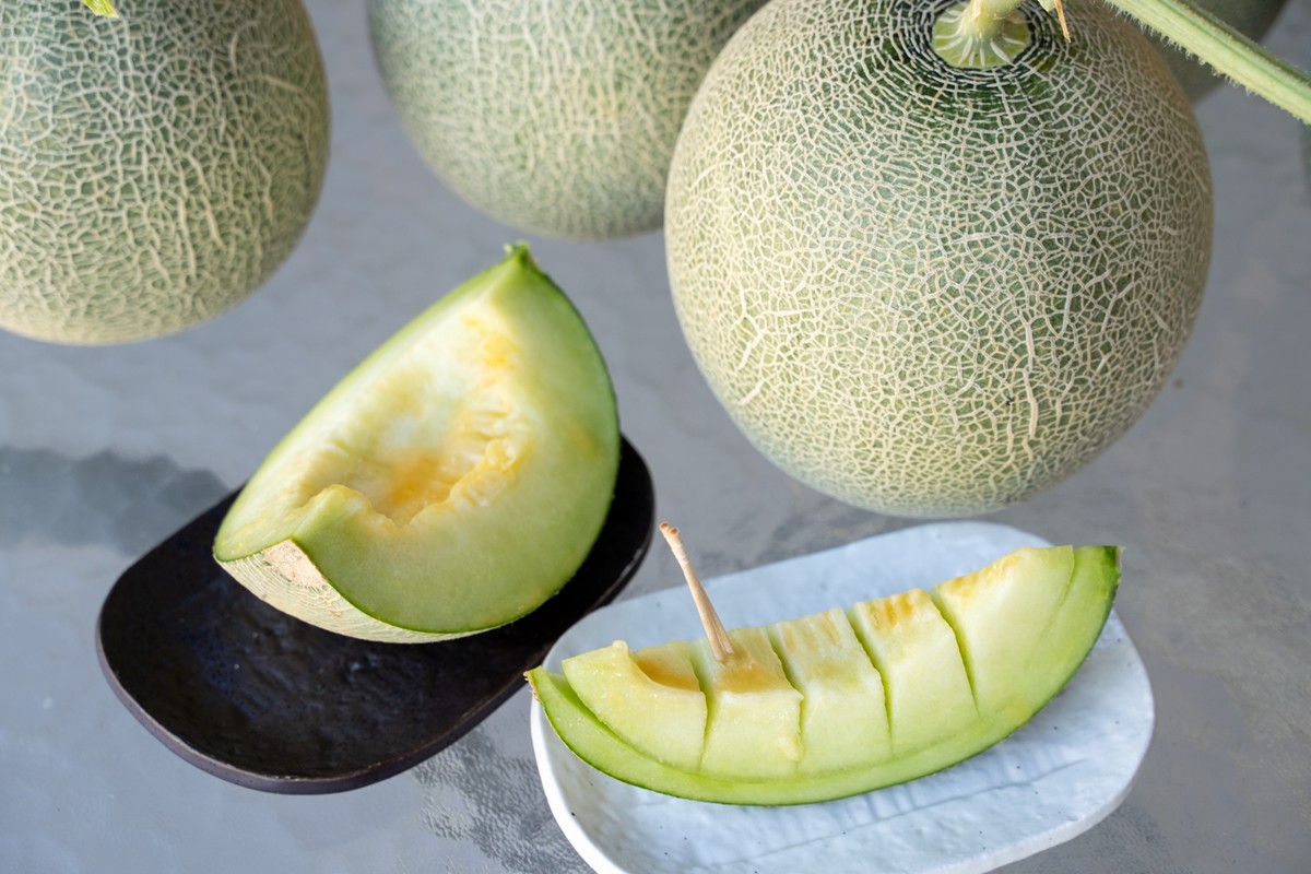 【先行予約】野木源の源喜メロン 2玉入り（2026年7月下旬～発送）　NO00017