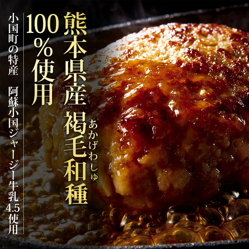 【阿蘇牧場】3回 定期便 肥後の赤牛ハンバーグ 熊本県産 和牛100％ 阿蘇小国ジャージー4.5牛乳使用 数量限定 150g 10個 1500g 1.5kg 3回合計 30個 4.5kg 和牛ハンバー