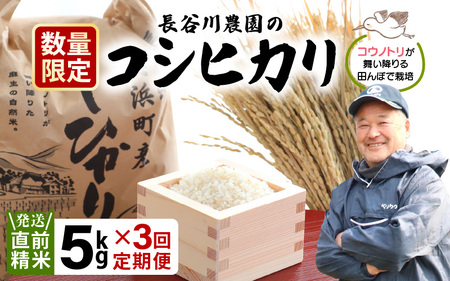 定期便 ≪3ヶ月連続お届け≫ 米 令和5年産 ⾧谷川農園の コシヒカリ 白米 5kg × 3回 (計15kg) 【お米 こしひかり 5キロ 精米 ブランド米 ふるさと納税米 産地直送】 [m22-b002]