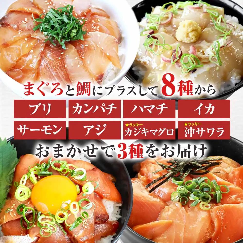 漬け丼 海鮮5種食べ比べセット 訳あり 80g×5P【漬け丼】