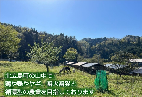 卵 平飼い 有精卵 ふぁーむbuffo 30個