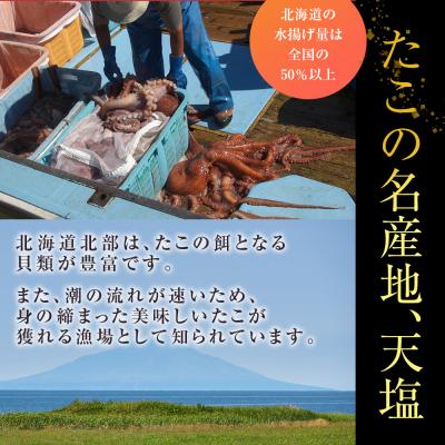 ふるさと納税 天塩町 自信作!天塩産たこ足4本セット<浪岡屋>【BP007】 |  | 02