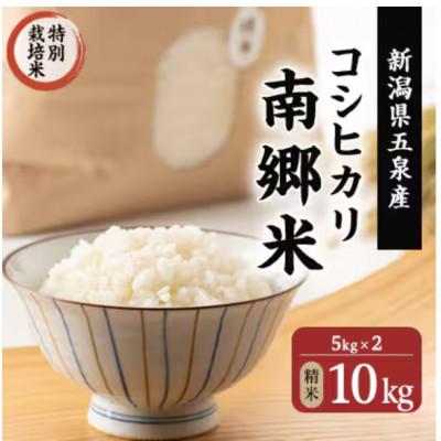 ふるさと納税 五泉市 【2ヵ月毎定期便】特別栽培米コシヒカリ100%「南郷米」精米 10kg(5kg×2袋)全3回