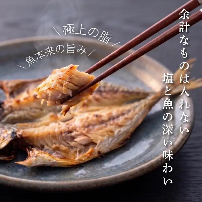 干物 詰め合わせ 4種以上 12枚