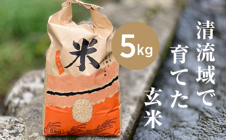 【先行受付】山間の清流を引き込んだ田んぼで作った「きぬむすめ玄米」5kg(令和8年産)