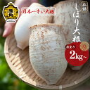 【ふるさと納税】《 先行予約 》 訳あり 松館 しぼり大根 2kg / 4kg / 規格外 4.5kg 薬味大根 GI 地理的表示登録 薬味 大根 ダイコン 野菜 地大根 伝統野菜 日本一 辛い 大根おろし ギフト お中元 お歳暮 ふるさと 返礼品 鹿角市 秋田 送料無料 【TR farm】