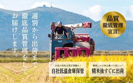 【数量・期間限定 5営業日以内発送】 令和6年産 あきたこまち 10kg 精米 直送 米 お米 こめ おこめ コメ コスパ ブランド米 産地直送 贈り物 プレゼント おいしい お米 秋田こまち 秋田県
