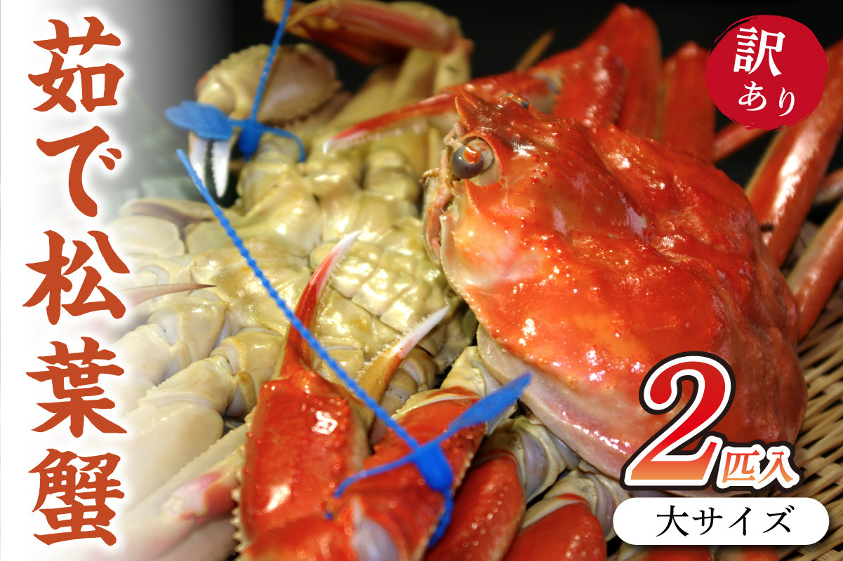 
ボイル 松葉ガニ（訳あり）／日本海産　ブランド蟹　茹で松葉蟹【訳あり】大サイズmatubakani900　2匹入り　茹で松葉ガニ・ボイルズワイガニ・ゆでズワイガニ・タグ付き　国産 カニ ガニ かに 松葉ガニ ボイル 高級 訳あり まるごと 送料無料　SS00083
