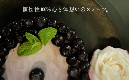 植物性100％ Vegan Raw Cake Blueberry（ブルーベリー／Lサイズ）☆お砂糖☆小麦粉☆乳製品不使用のスイーツ ヴィーガンローケーキ 吉野ヶ里町/Dondonyokunaru [F
