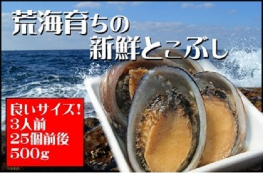 
活き〆とこぶし 500g 冷凍 国産 とこぶし トコブシ ながれこ ナガレコ 新鮮 高知県 東洋町 四国 お取り寄せ 送料無料 S239
