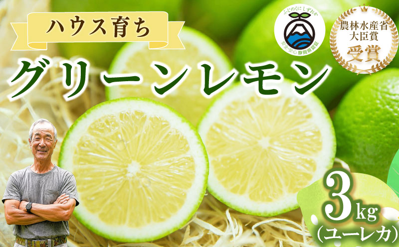 【農林水産大臣賞  先行予約 国産 レモン】選べる 内容量 グリーンレモン 3kg れもん 酸味 甘み 防腐剤不使用 大関農園  静岡県 牧之原市