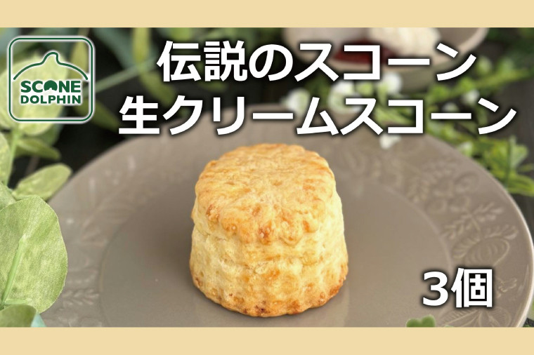 
            伝説 生クリームスコーン 3個【人気 看板商品 しっとり 冷凍 冷凍スコーン 本場 イギリス 焼き菓子 スイーツ 水戸市 水戸 茨城県 5000円以内】（AR-9）
          