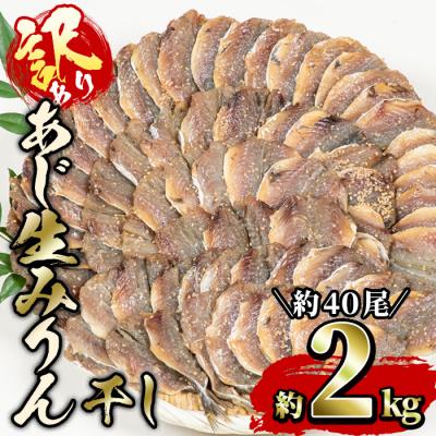 ふるさと納税 佐伯市 ＜訳あり・業務用＞あじの生みりん干し (計約2kg・約40尾)