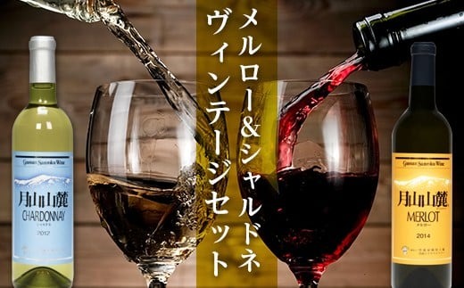FYN6-464 【数量限定】月山山麓ワイン 赤・白 飲み比べ2本セット（メルロー・シャルドネヴィンテージ）720ml×2 ミディアムボディ 辛口 山形県 西川町