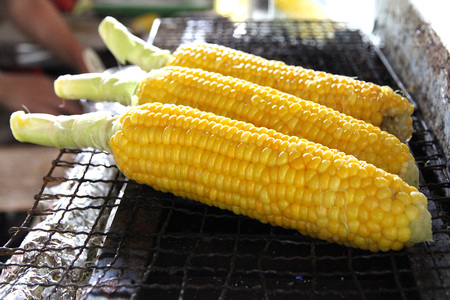 【2026年夏の予約受付開始！】信濃町名産とうもろこし『TAKA農園の恵味（めぐみ）ゴールド』2Lサイズ（1本450ｇ相当）×5本セット　スイートコーンの人気品種、予約受付中！  令和8年7月下旬から
