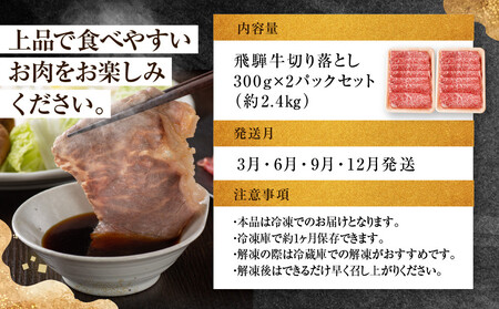 ちょっとリッチな飛騨牛（希少部位）約2.4kg【3月・6月・9月・12月発送】定期便 4回  | みすじ ウデ すき焼き しゃぶしゃぶ  希少部位 600g 和牛 国産牛 冷凍 飛騨高山 飛騨牛のこも