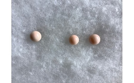 ヒメTama ピアス 7.3mm～8.5mm | 珊瑚 ヒメ珊瑚 サンゴ さんご ヒメサンゴ ピンク 桃色 イヤリング ゴールド 金具 アクセサリー 高知県 南国市