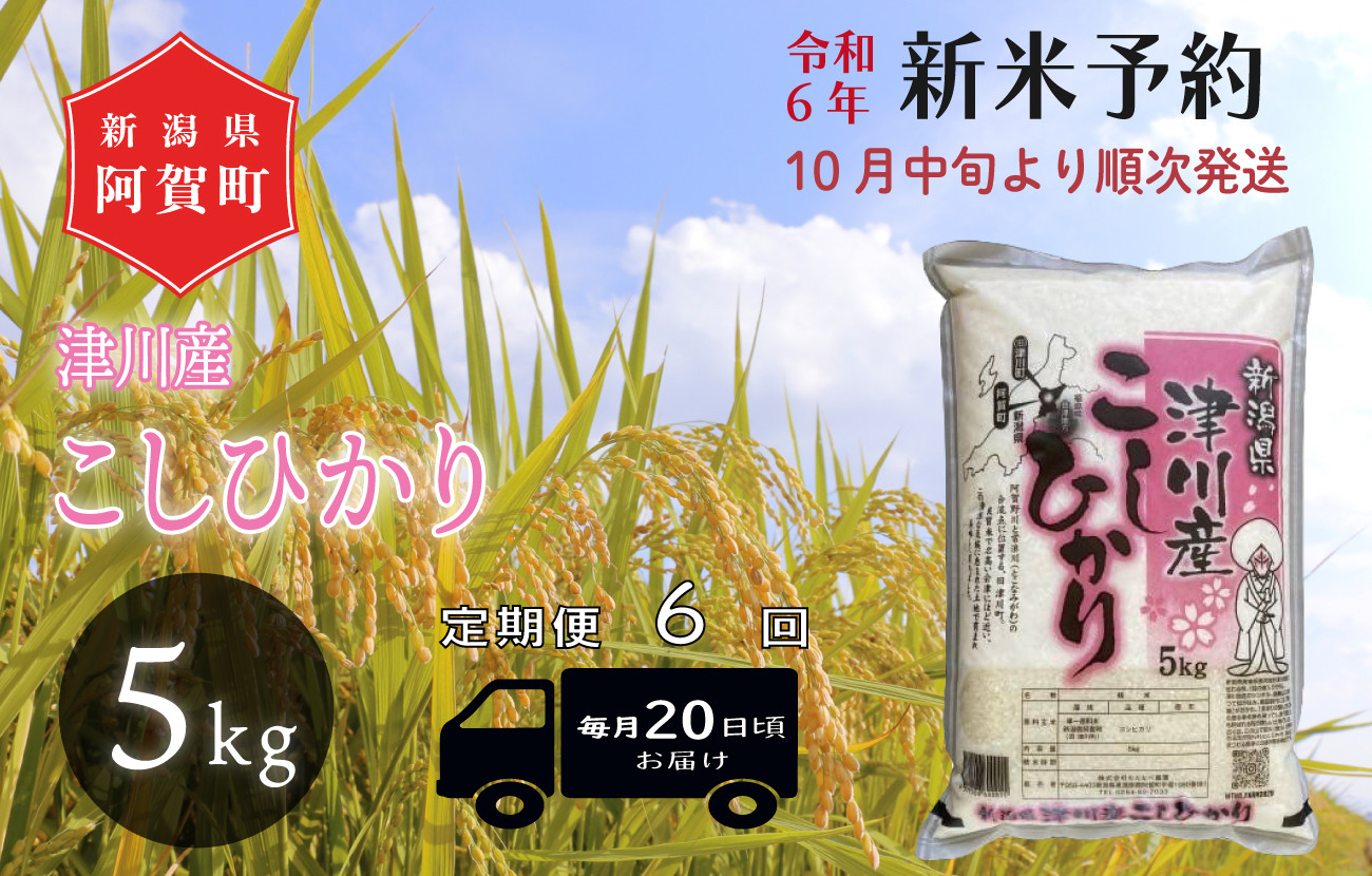 
《令和6年産米》【定期便】6回　津川産　こしひかり　5kg（1袋）
