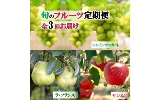3回フルーツ定期便 令和7年産【道の駅厳選】シャインマスカット 洋梨 りんご 【2025年10月上旬頃から発送開始予定】 ※ 配送不可 沖縄・離島　042-B-CS013