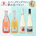 【ふるさと納税】 スパークリングワイン飲み比べ 4本セット（日本ワイン スパークリングワインセット セット 発泡ワイン フルーツワイン 梅ワイン りんご シードル 酸化防止剤無添加 ギフト 贈り物 贈答 プレゼント 飲み比べ 記念日 お祝い お酒 丹波ワイン 京都 京丹波町）