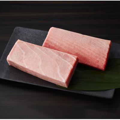 ふるさと納税 三浦市 天然本鮪　上脂トロサク　アイルランド産(2柵) |  | 01