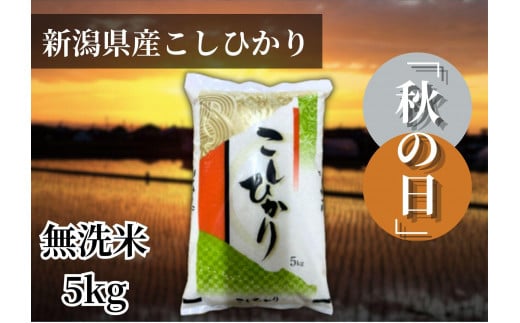 
            【令和6年産 】新潟県産こしひかり「秋の日」（無洗米5kg）新潟県の美味しいお米。
          