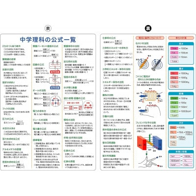 受験教材下敷き 5枚セット【 下敷き 文房具 教材 ツール 高校受験 暗記 記憶 視覚 勉強 学習 受験 テスト 試験 隙間時間 中学生 理科 国語 数学 歴史 英語 5教科 セット フライング・エッ