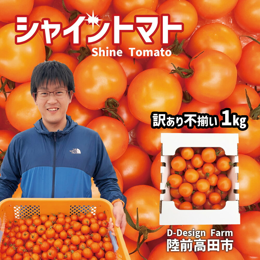 【ふるさと納税】〈 先行予約 〉訳あり 『 シャイントマト 』 1kg 1000g [ 甘い フルーツトマト とまと β-カロテン ビタミンC 豊富 農業 アイメック 次世代農法 まるで フルーツ シャイン 不揃い 野菜 通常糖度8度〜10度 品種 ちばさんさん 産地直送 岩手県 陸前高田市 】