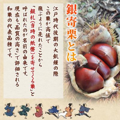 ふるさと納税 西予市 <栗の王様 銀寄栗(生栗)2L4kg　銀寄 ぎんよせ 甘い 生栗 和栗>国産 くり 果物 |  | 01