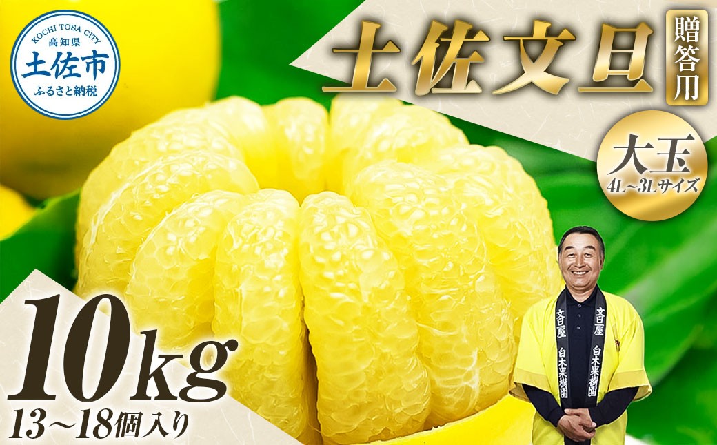 
                  【先行予約】果樹園直送！土佐文旦 特選品贈答用（3L～4Lサイズ）約10kg（13～18個入り） 文旦 ぶんたん 土佐 柑橘 高知県産 フルーツ お取り寄せ 贈答 先行予約 高知県 土佐市【白木果樹園】[BQAI004]
                