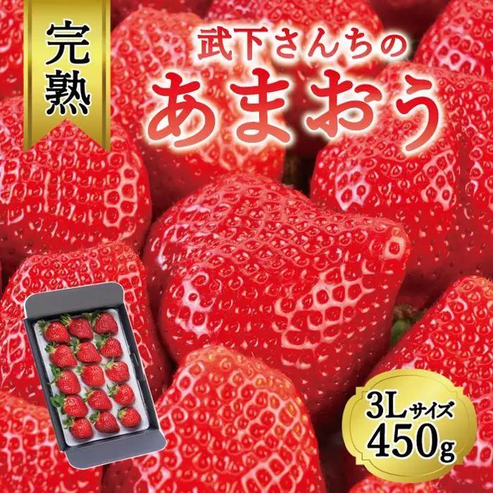 【2027年発送】完熟 あまおう 3Lサイズ 450g | あまおう 産直