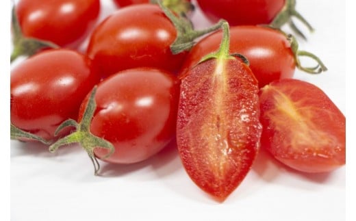 【2月発送】ミニトマトアイコ(松トマト) 約2kg（S・M・Lサイズおまかせ）