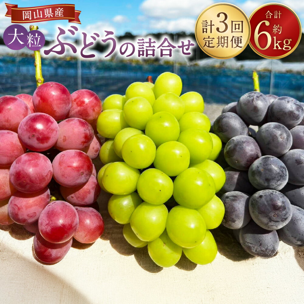 【ふるさと納税】【3回定期便】大粒ぶどうの詰合せ 計約6kg（約2kg×3回） シャインマスカット ピオーネ クイーンニーナ ぶどう ブドウ 葡萄 フルーツ くだもの 果物 果実 デザート 岡山県産 国産 岡山県 美咲町 送料無料 【2026年10月上旬より発送予定】