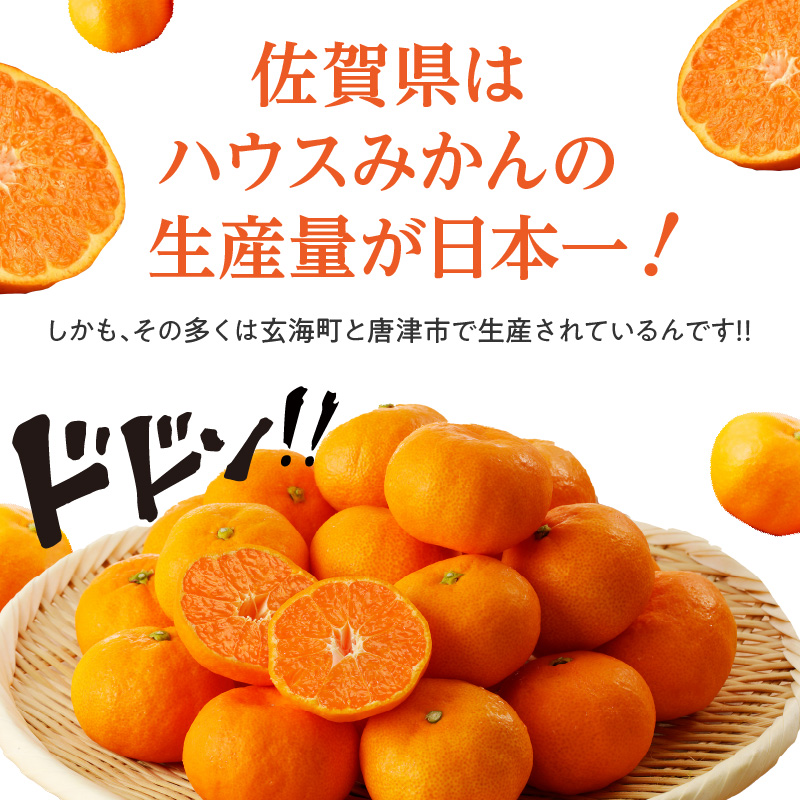 ★予約受付★【2025年6月以降配送】佐賀県産ハウスみかん　約1.5kg【件数限定】
