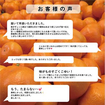 ふるさと納税 八幡浜市 【発送月固定定期便】「こたつの上の冬物語」高級3品種　まどんな+甘平+せとか【H49-73】全3回 |  | 02
