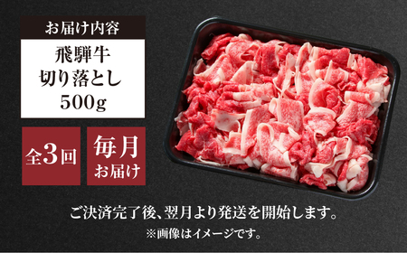 《定期便》 3回 訳あり 飛騨牛 切り落とし 500g 肉 飛騨牛 定期 切落し 飛騨高山ミート 30000円  | 冷凍真空パック 肉 お肉 黒毛和牛 和牛 人気 おすすめ 牛肉 [MZ110]