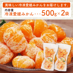 【冷凍愛媛みかん】 500g×2袋 冷凍みかん 愛媛 みかん職人武田屋