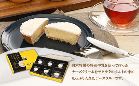 ミルクチーズタルト6個入り2箱合計12個　NZ003