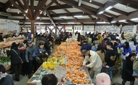 【予約受付】初夏の香り甘夏5kg箱　【柑橘 甘夏 果物 フルーツ フルーツセット ふるさと納税  伊豆 南伊豆】