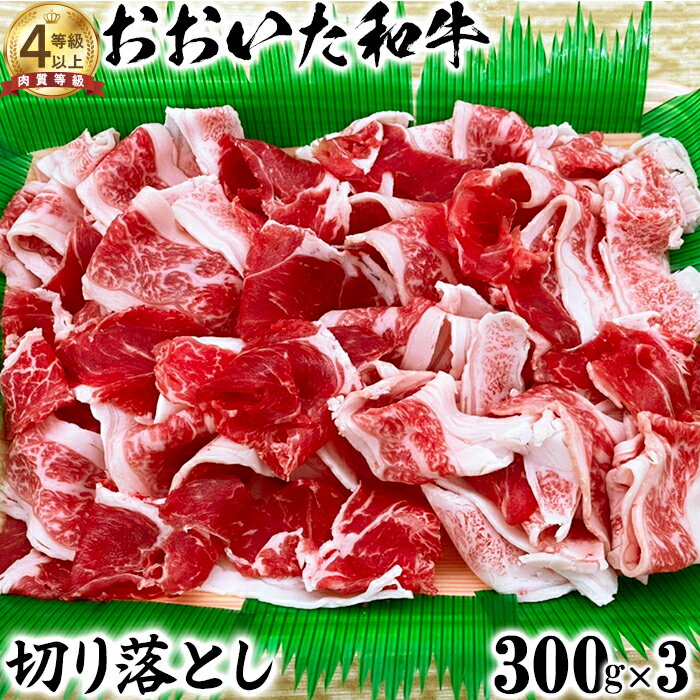 【ふるさと納税】おおいた和牛 切り落とし（300g×3）【ニード牧場】 お楽しみ 黒毛和牛 豊後牛 牛肉 お肉 人気 ＜129-001_5＞