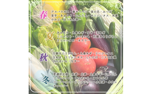 【10月発送】京都産 コシヒカリ2kg ＋ 旬の野菜セット 6回 定期便 京都 佐伯の里 新鮮 野菜 7～10品 コシヒカリ2kg 米 定期便 6ヶ月 京都丹波・亀岡産 季節の野菜 詰め合わせ 訳あり